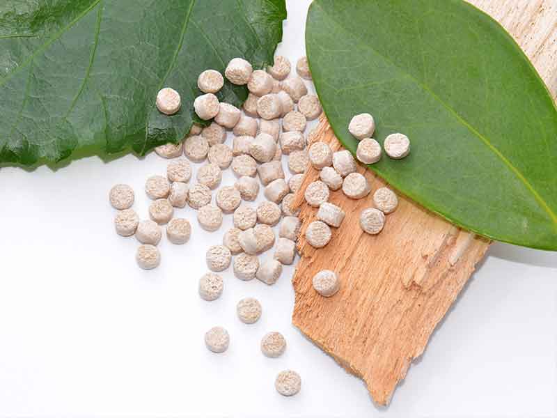 新鮮な葉の上で装飾的に使われるバイオプラスチック顆粒/混練システム